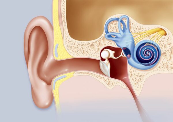عملية تركيب أنابيب تهوية الأذن
