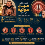 أفضل دكتور حبال صوتية في مصر